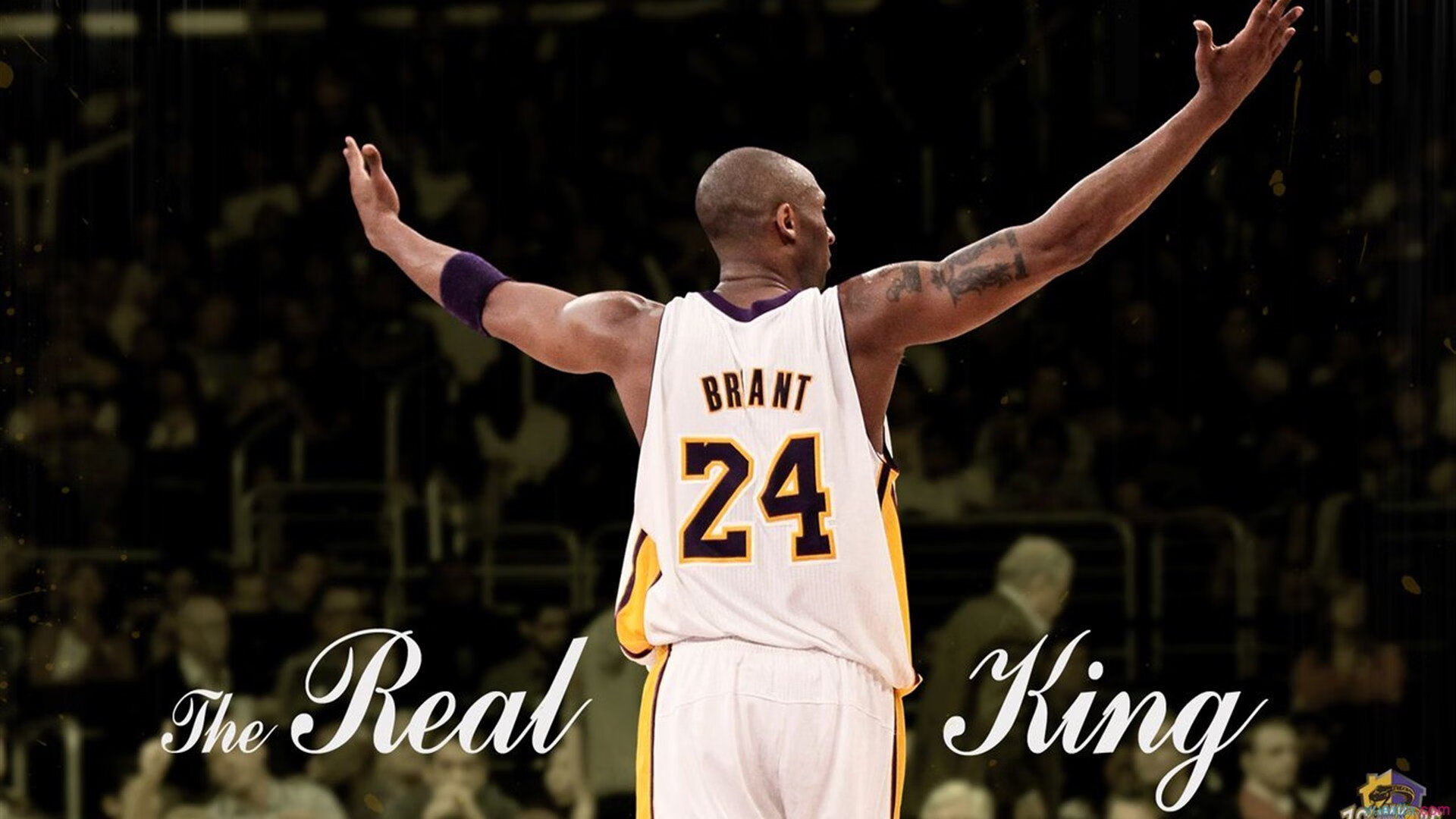 九游体育官网莎拉波娃爆冷击败湖人,赛事规则更新引爆全场!